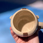 FLYING BISON mug 1