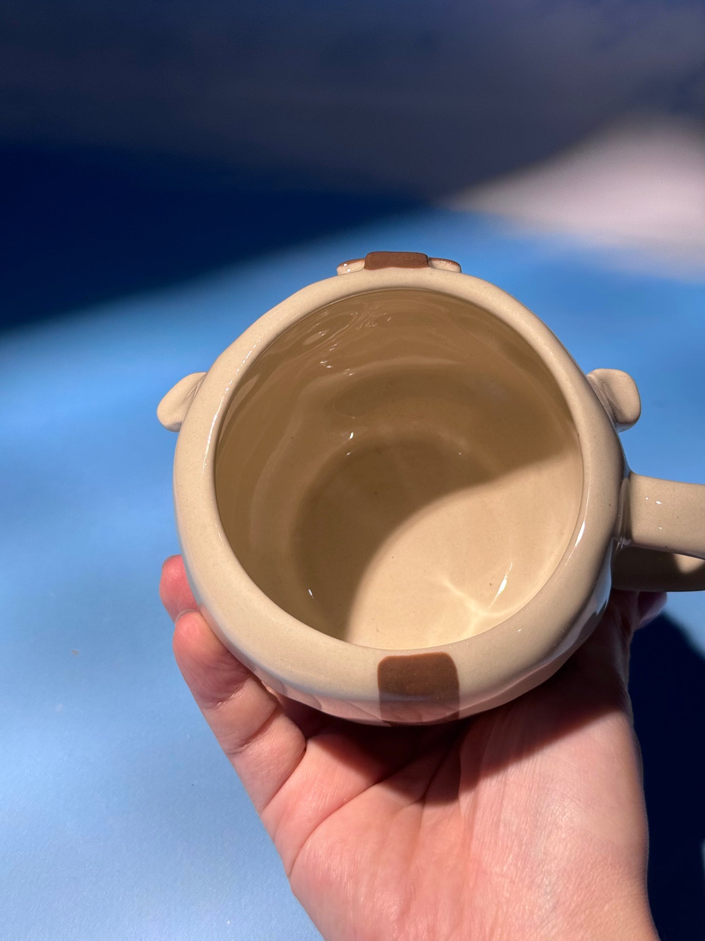 FLYING BISON mug 1