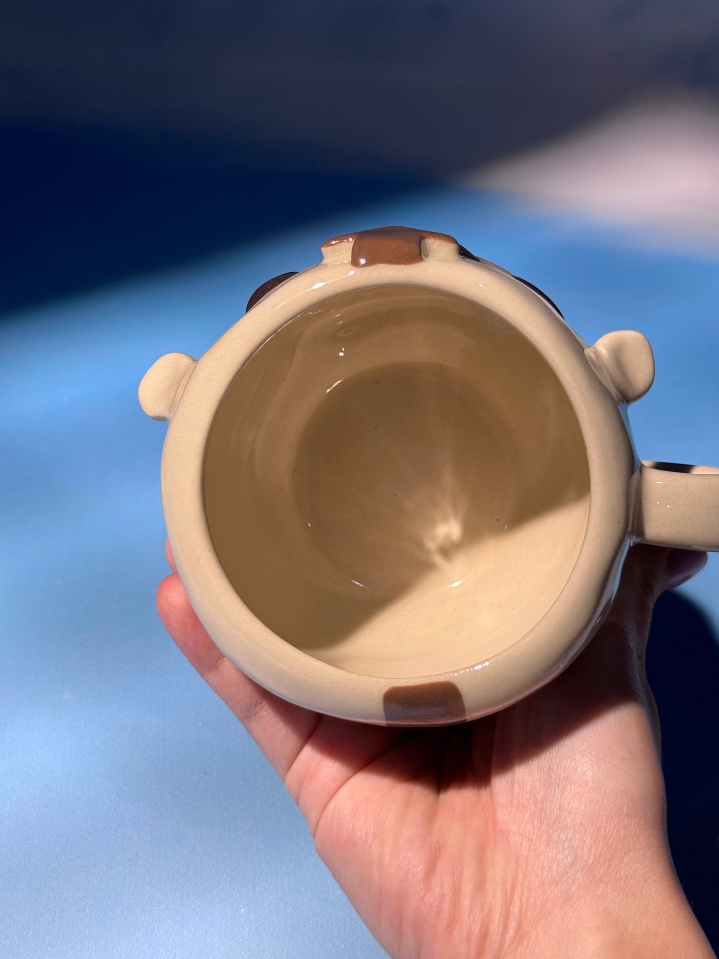 FLYING BISON mug 1