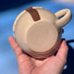 FLYING BISON mug 1