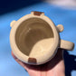 FLYING BISON MUG 2