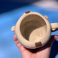FLYING BISON MUG 4