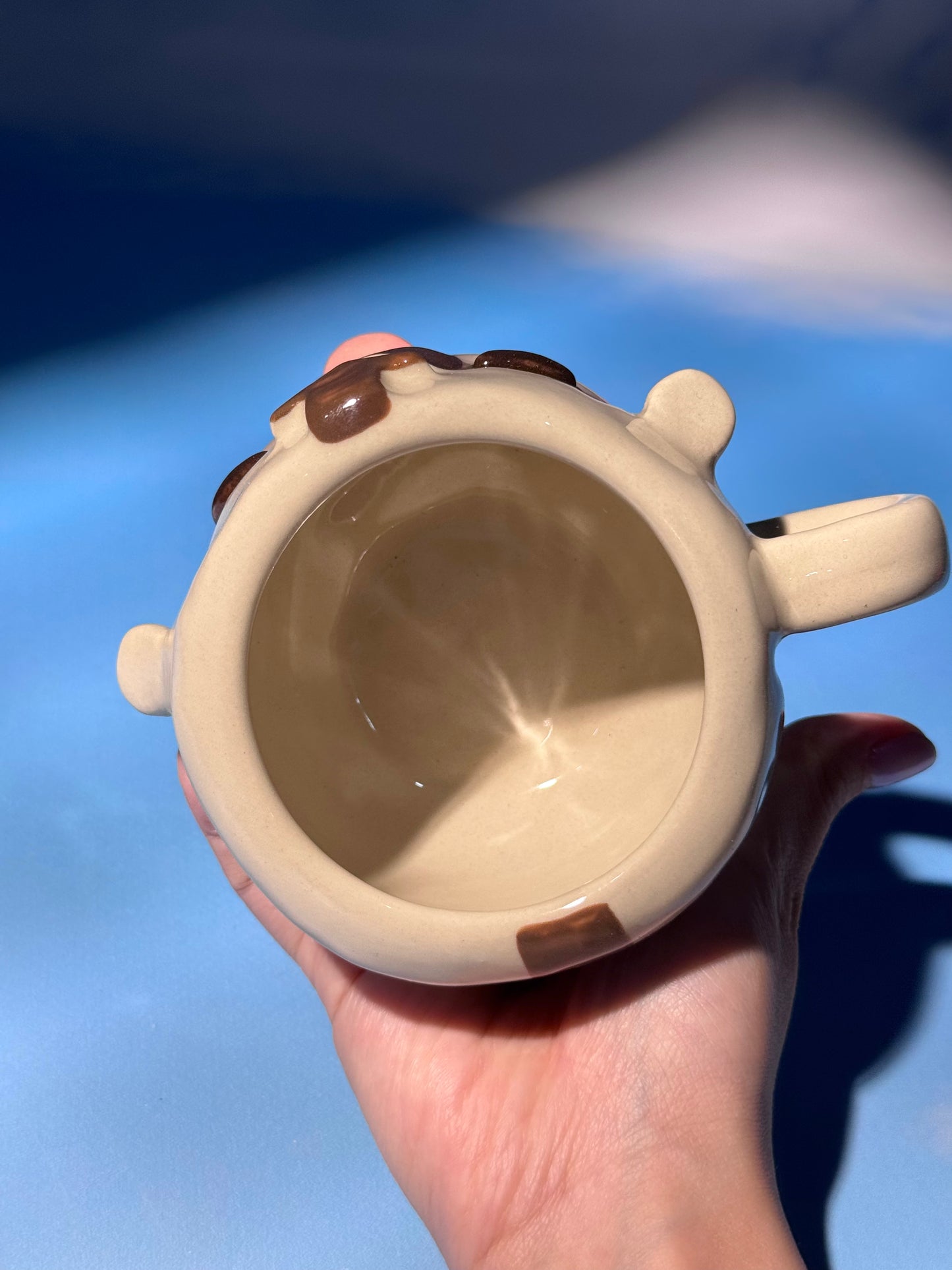 FLYING BISON MUG 4