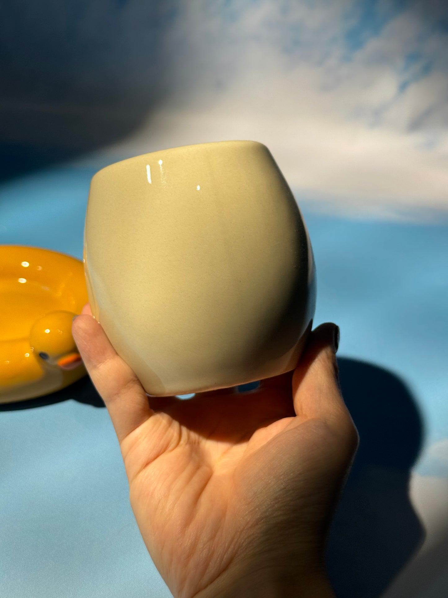 Duck floatie mug set 2