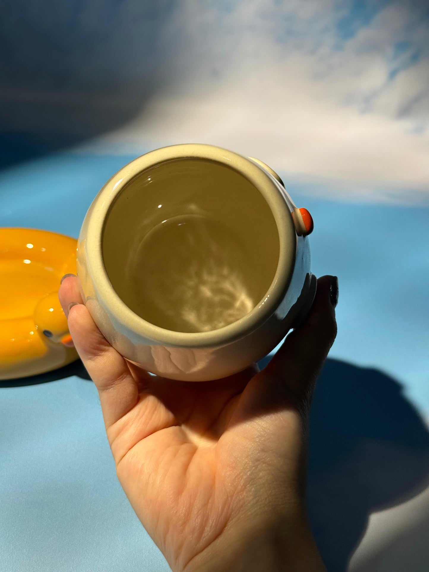 Duck floatie mug set 1