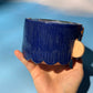 CORABOWL 1
