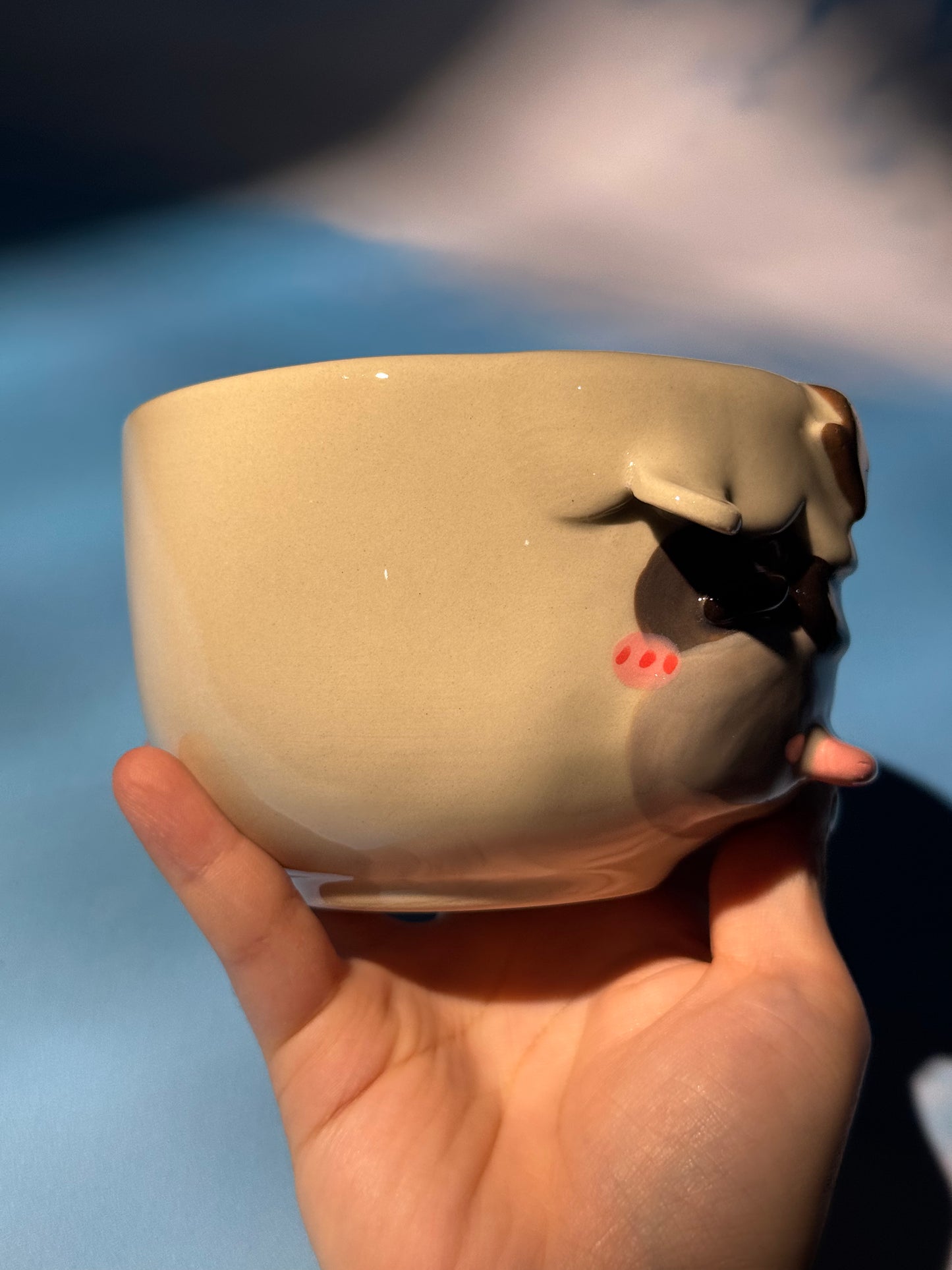 Appa Bowl Only 1