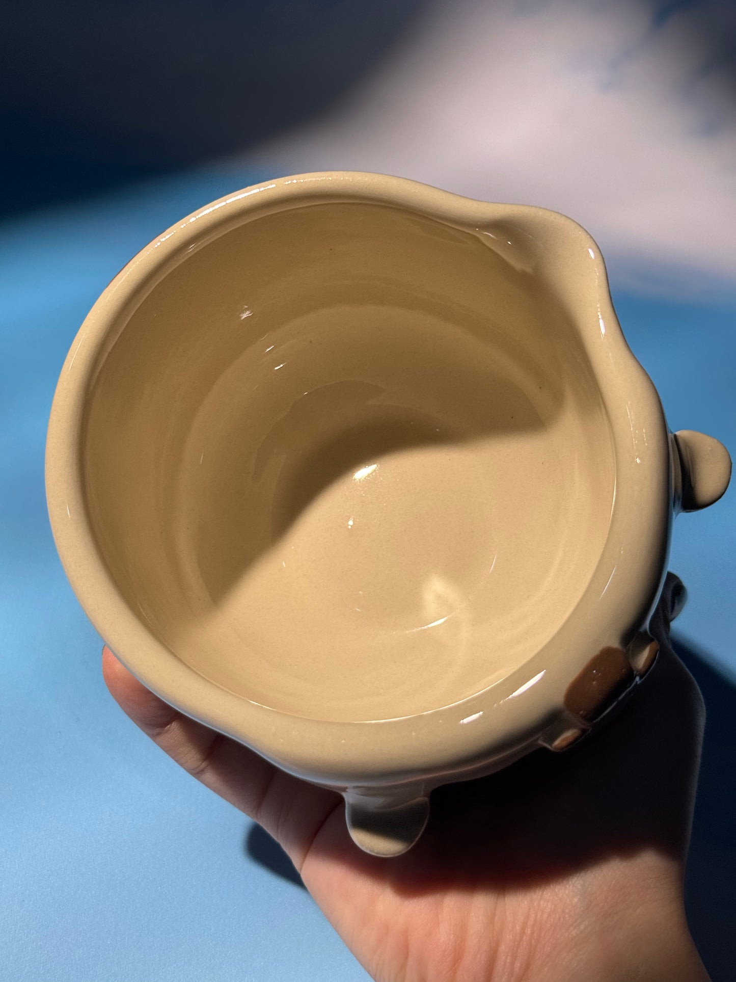 Appa Bowl Only 1