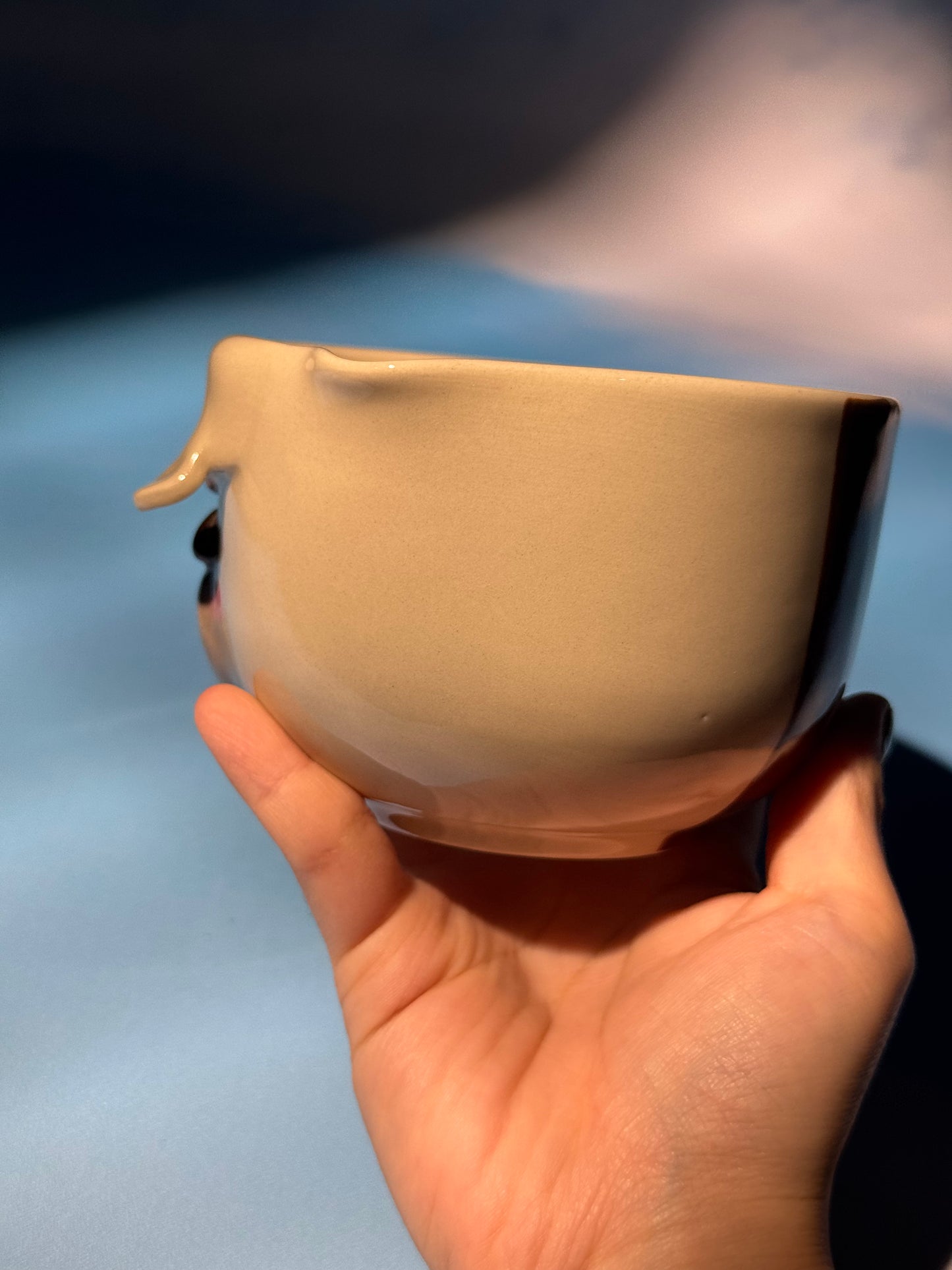 Appa Bowl Only 3