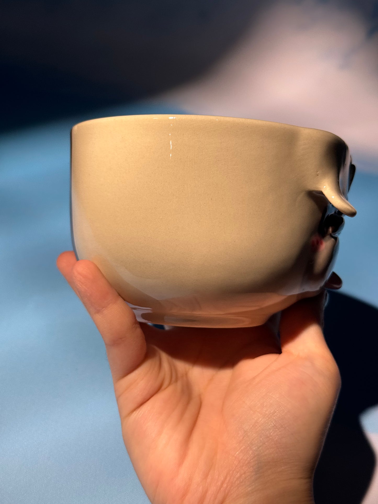 Appa Bowl Only 3