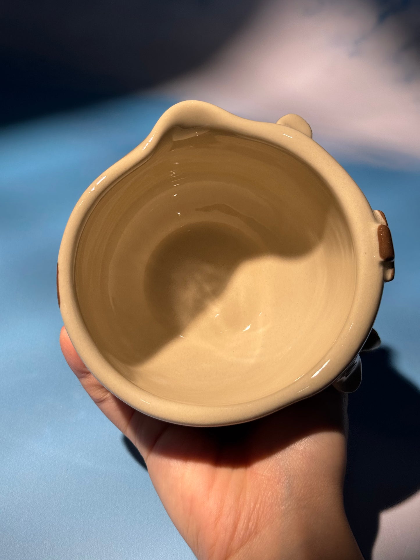 Appa Bowl Only 4