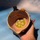 JIJI MATCHA BOWL ONLY 1