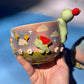 SMISKJ FRUITY MATCHA SET 1