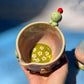 SMISKJ FRUITY MATCHA SET 2