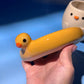 DUCKY BOWL + MUG SET 1 (FREE: ducky mini shot glass)